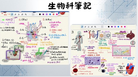 Description 3