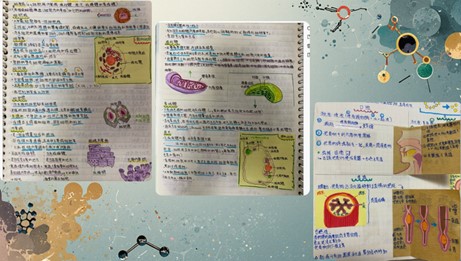 Description 4